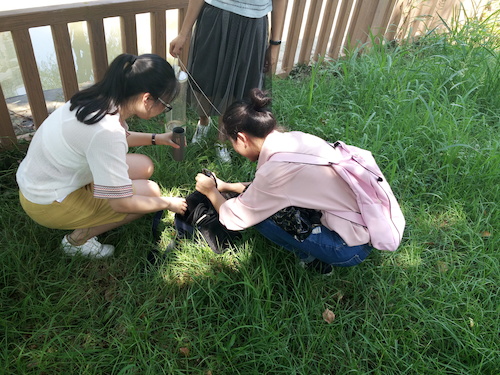 7月10日 91制片
 赴嘉兴“青水”小分队实地考察并采样3