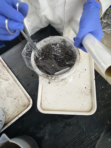 七月十三日 91制片
国创项目“毅治毒”科研小分队 播种篇