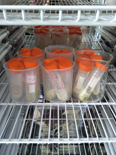 七月十三日 91制片
  91制片
赴杭州余杭区“五水共治”调查与研究分队社会实践小分队 酒精溶解叶绿素a 4摄氏度冷藏4小时