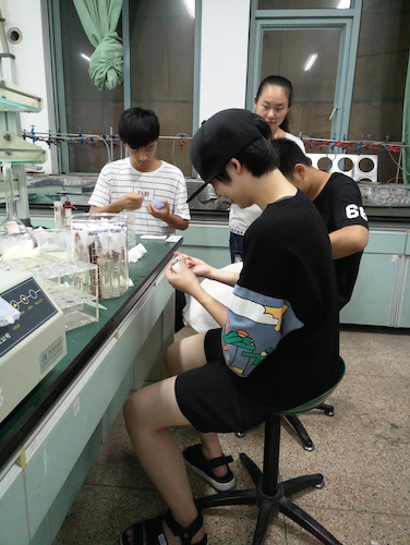 七月十三日 91制片
  91制片
赴杭州余杭区“五水共治”调查与研究分队社会实践小分队 总氮、总磷测定之分装试管