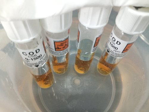 7月19日 91制片
 赴嘉兴”青水“小分队 cod检测