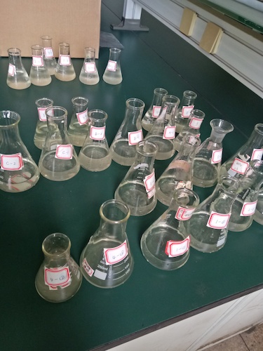 7月19日 91制片
 赴嘉兴”青水“小分队 水样3