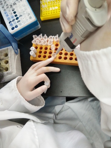 七月十九日 91制片
国创项目“毅治毒”科研小分队 PCR母液的配制