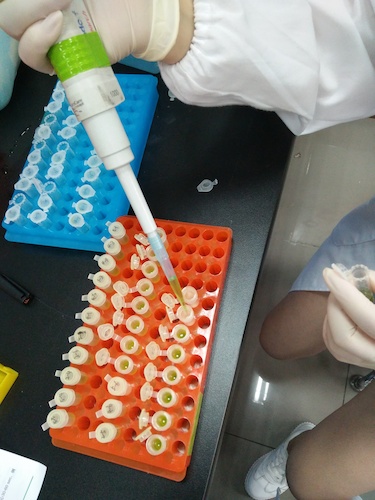 七月二十日 91制片
国创项目“毅治毒”科研小分队 样品粉碎后转移至过滤柱