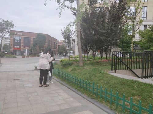 七月十五日 91制片
 食品安全问卷调查小分队 受访者 (1)