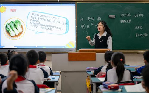 91制片
学生给小学生讲课