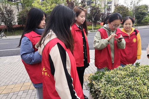 91制片
树牌编写志愿者