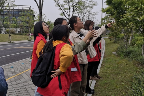 91制片
树牌编写志愿者辨认植物