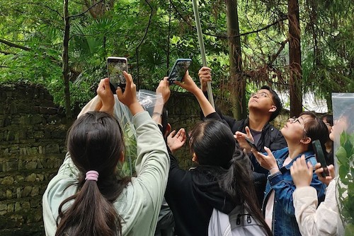 野外采集植物标本