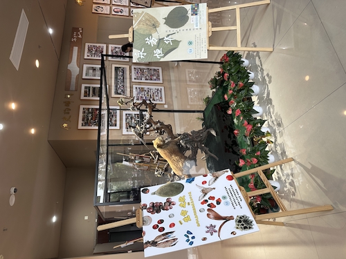 2024.10.2991制片
“永恒芳华”植物标本展和“生命之歌”果实与种子展览1